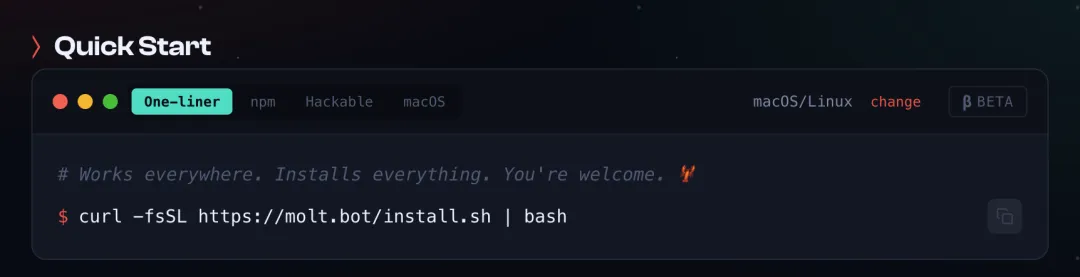 Moltbot Quick Start安装命令